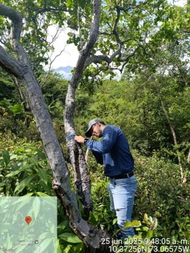 Profesional caracterizando individuos arbóreos en campo, con registro geoetiquetado.
