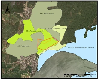 Mapa de coberturas de la tierra con pastos limpios, arbolados y bosque denso bajo inundable.