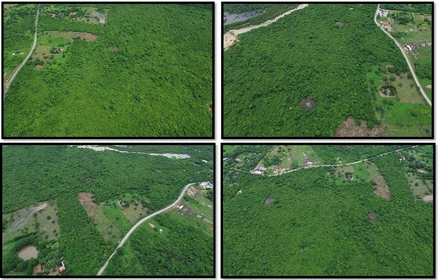 Mosaico de vistas aéreas de los predios evaluados en la fase de prefactibilidad.